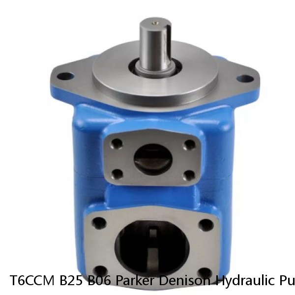 T6CCM B25 B06 Parker Denison Hydraulic Pump , Hydraulic Fixed Displacement