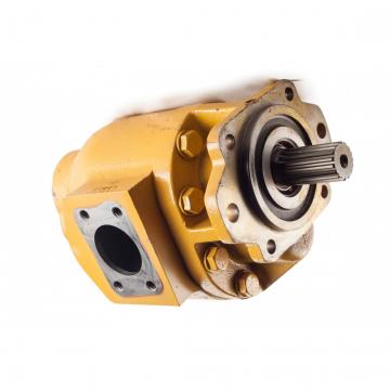 Rexroth A11VO145LRDS/11R-NZG12K02 Axial piston variable pump