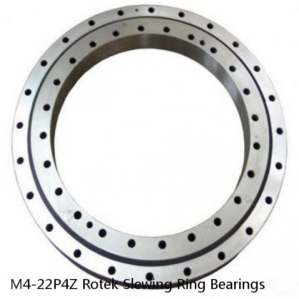 M4-22P4Z Rotek Slewing Ring Bearings