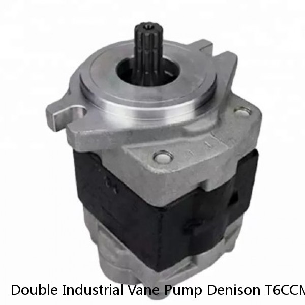 Double Industrial Vane Pump Denison T6CCM T6DCM T6ECM T6EDM T6EEM
