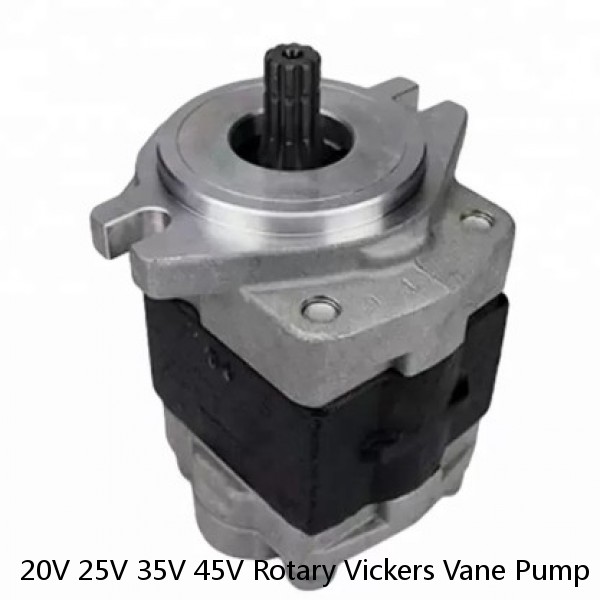 20V 25V 35V 45V Rotary Vickers Vane Pump For Plastic Injection Machinery #1 small image