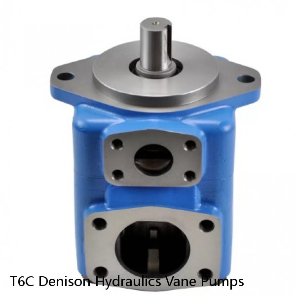 T6C Denison Hydraulics Vane Pumps #1 small image