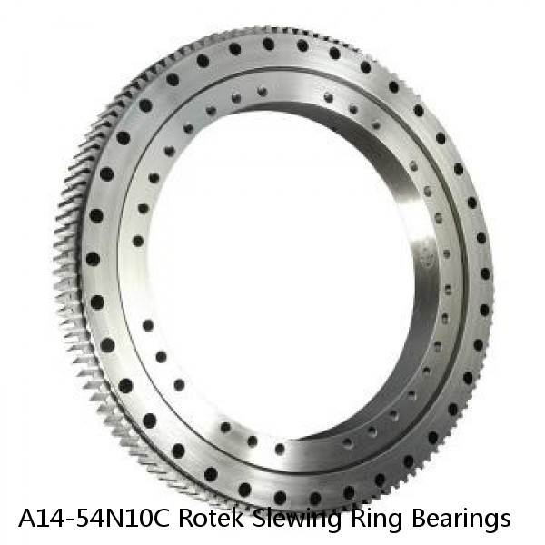 A14-54N10C Rotek Slewing Ring Bearings #1 small image