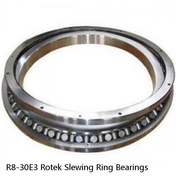 R8-30E3 Rotek Slewing Ring Bearings #1 small image