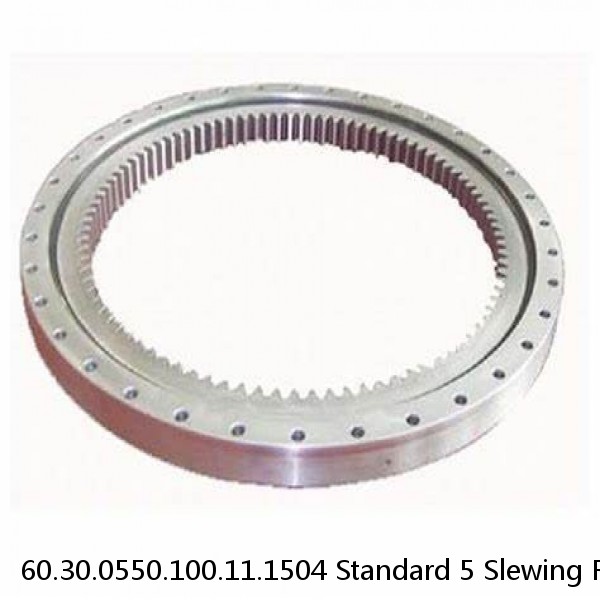 60.30.0550.100.11.1504 Standard 5 Slewing Ring Bearings #1 small image
