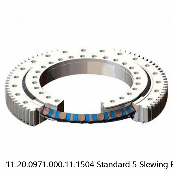 11.20.0971.000.11.1504 Standard 5 Slewing Ring Bearings #1 small image