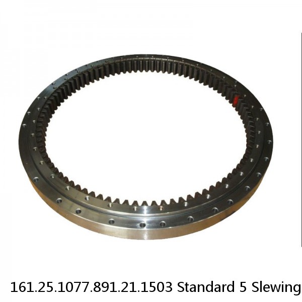 161.25.1077.891.21.1503 Standard 5 Slewing Ring Bearings #1 small image