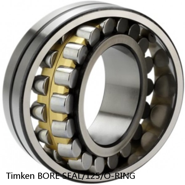 BORE SEAL/125/O-RING Timken Cylindrical Roller Bearing #1 small image