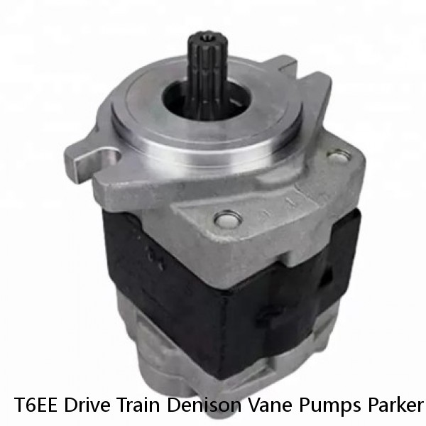 T6EE Drive Train Denison Vane Pumps Parker Denison Replacement #1 image