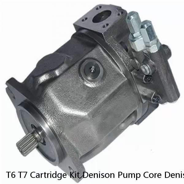T6 T7 Cartridge Kit Denison Pump Core Denison Cartridge #1 image
