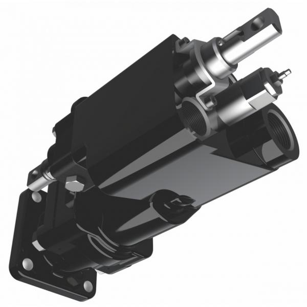 Parker PV023R1L1T1NDLC Axial Piston Pump #1 image