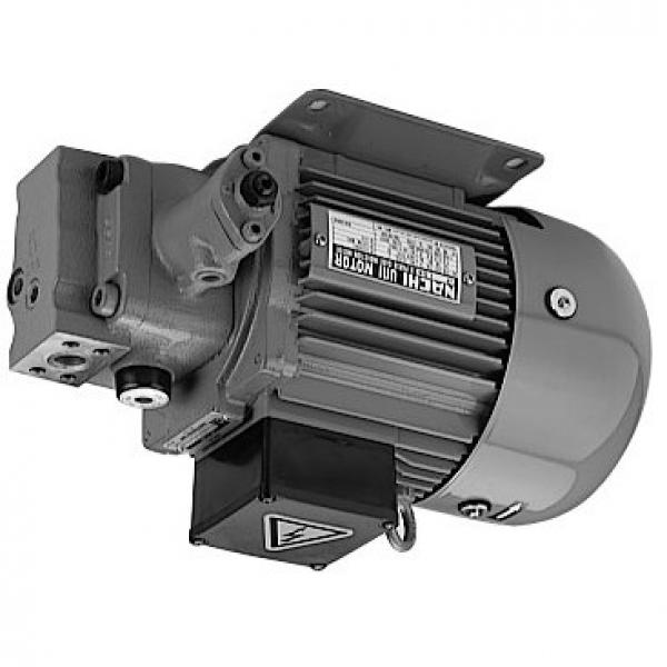 Sumitomo QT51-100L-A Gear Pump #1 image