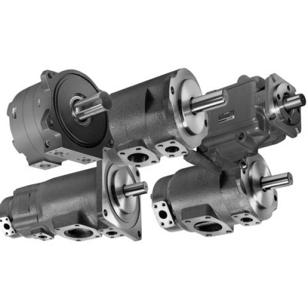 Sumitomo QT4222-31.5-4F Double Gear Pump #2 image