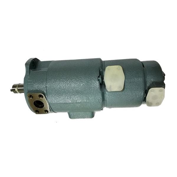 Sumitomo QT5143-100-20F Double Gear Pump #1 image