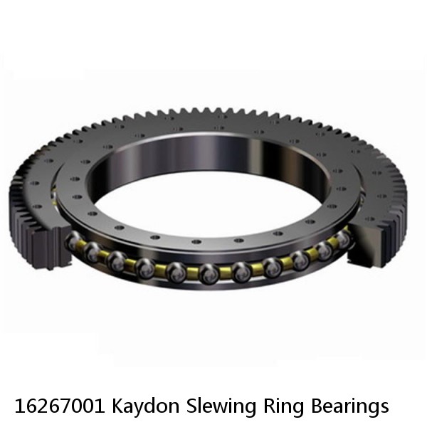 16267001 Kaydon Slewing Ring Bearings #1 image