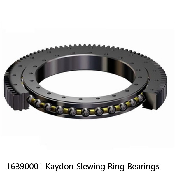 16390001 Kaydon Slewing Ring Bearings #1 image